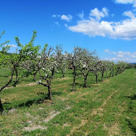 Calla Retreat Vezenkovo Dış mekan fotoğraf