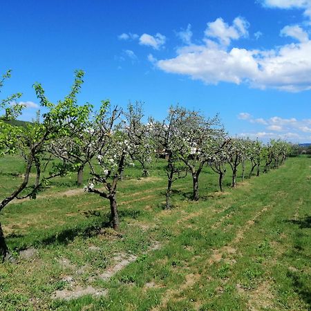 Calla Retreat Villa Vezenkovo Dış mekan fotoğraf