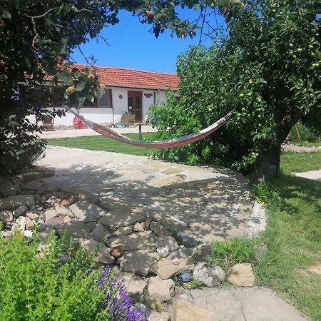 Calla Retreat Vezenkovo Dış mekan fotoğraf