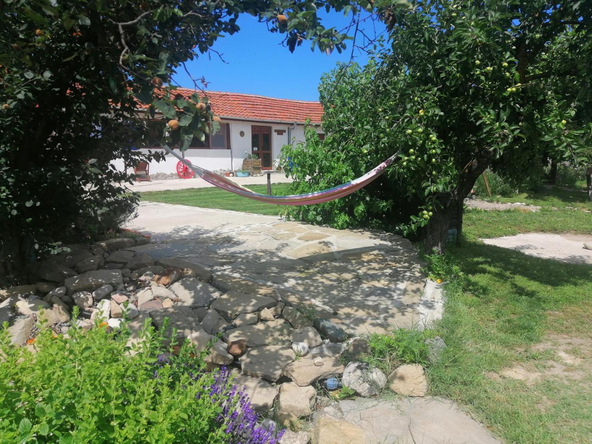 Calla Retreat Villa Vezenkovo Dış mekan fotoğraf