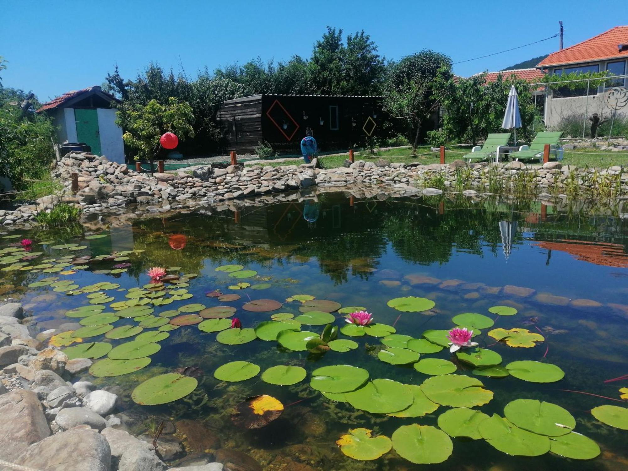 Calla Retreat Vezenkovo Dış mekan fotoğraf