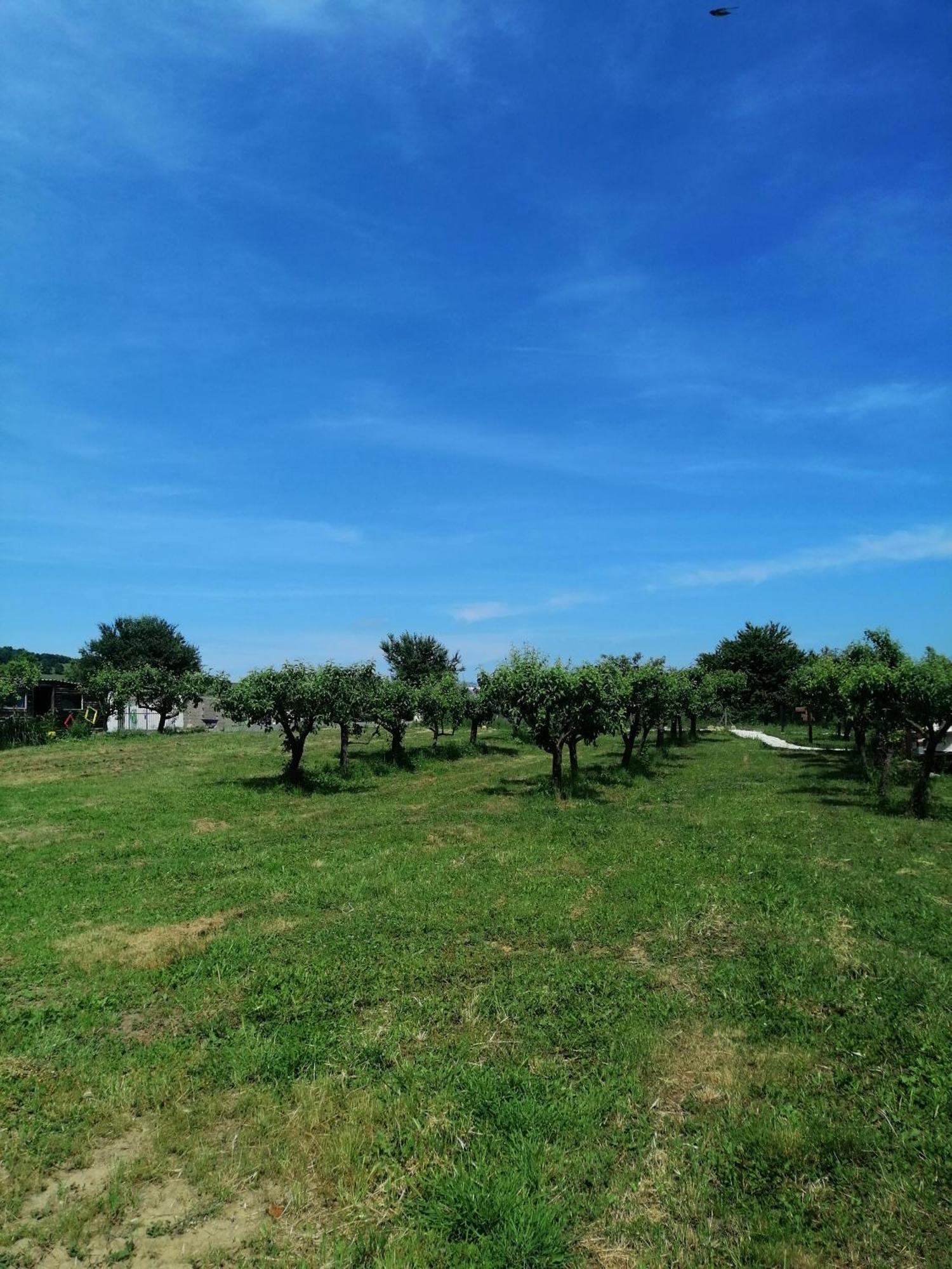 Calla Retreat Villa Vezenkovo Dış mekan fotoğraf