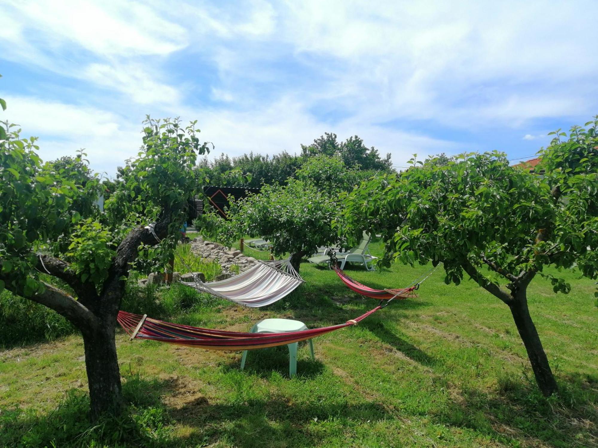 Calla Retreat Villa Vezenkovo Dış mekan fotoğraf